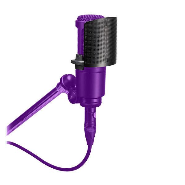 Audio Technica AT8175 Microphone Pop Filter