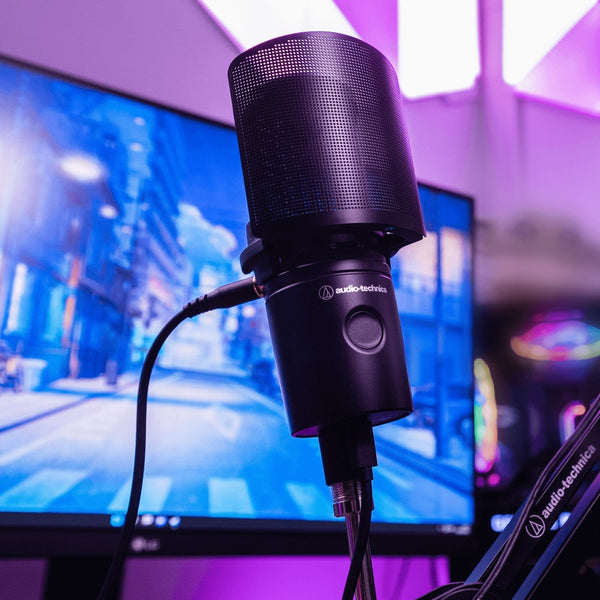 Audio Technica AT8175 Microphone Pop Filter