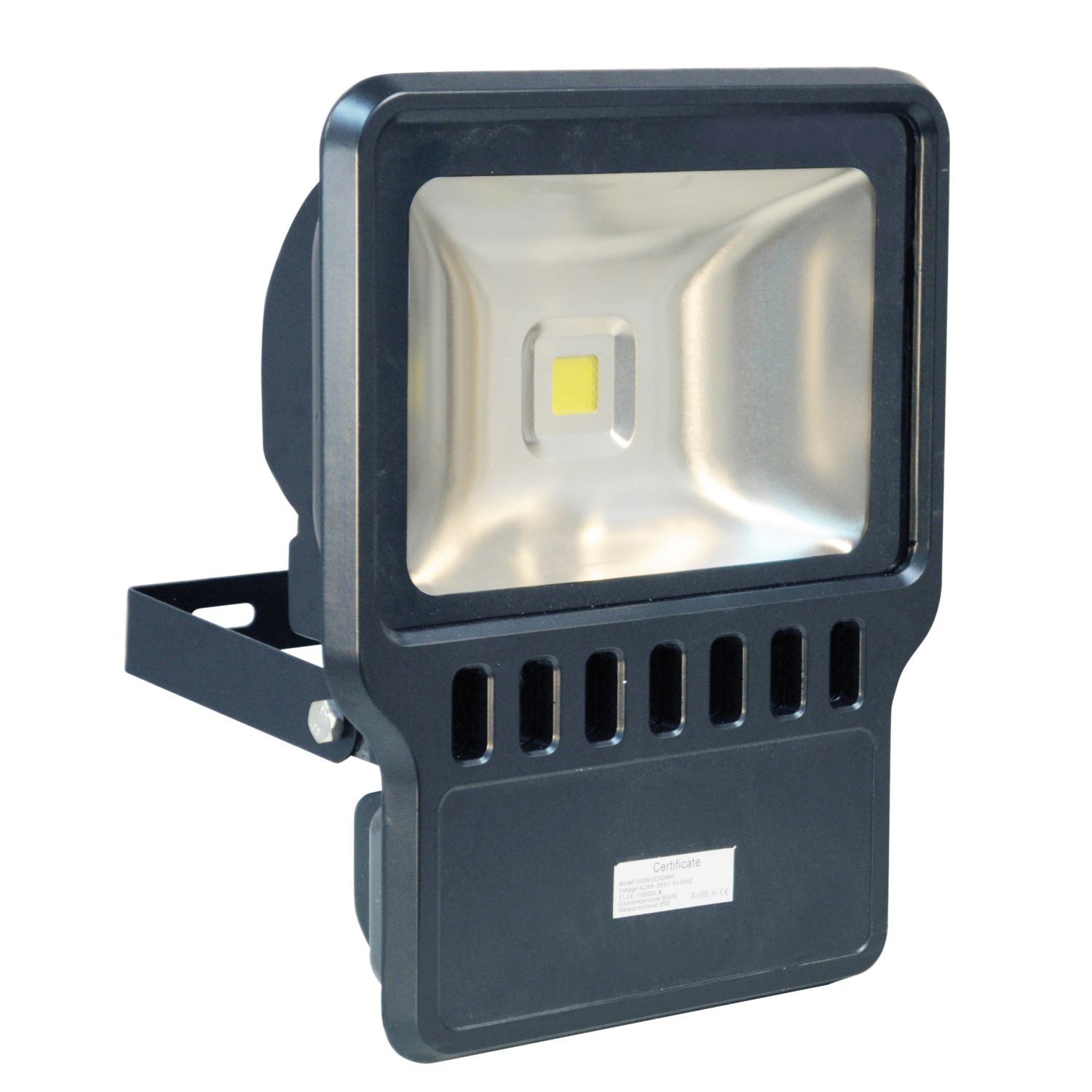 Eagle Waterproof IP65 Black Floodlight (100W White LED)