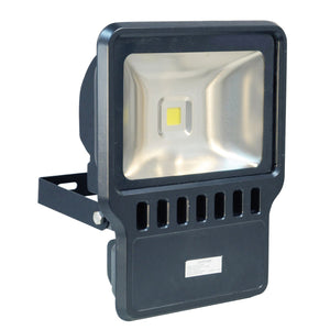 Eagle Waterproof IP65 Black Floodlight (100W White LED)